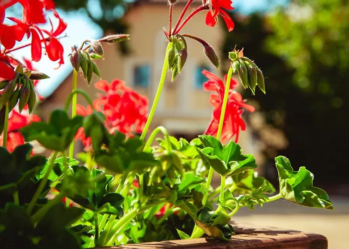 & Restaurant Hubertus *